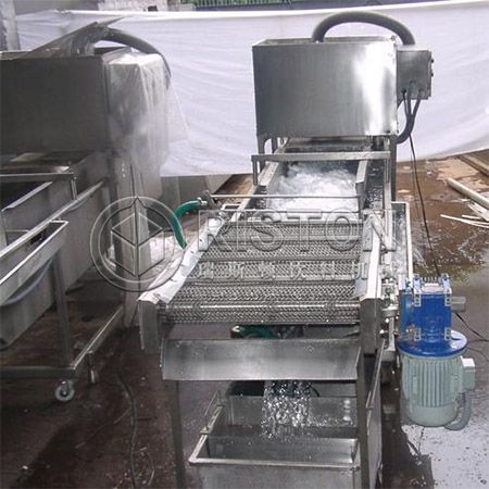 Fruit and Vegetable Washing Machine